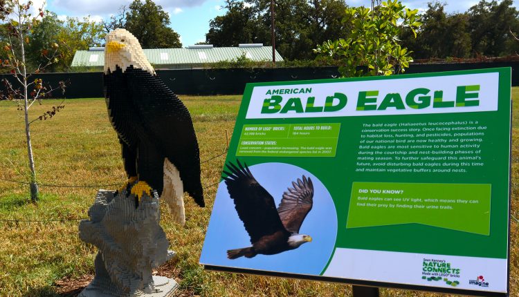 LEGO American Bald Eagle by Sean Kenney at Houston Botanic Garden. Photo by Signal reporter Xavier Munoz.