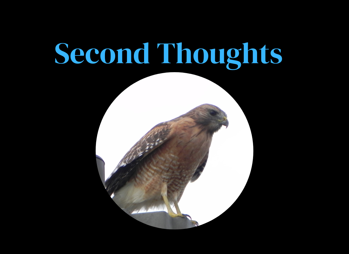 GRAPHIC: Image depicts Second Thoughts logo with hawk in a circle. Graphic by The Signal Editor in Chief Troylon Griffin II. Hawk image courtesy of Environmental Institute of Houston.