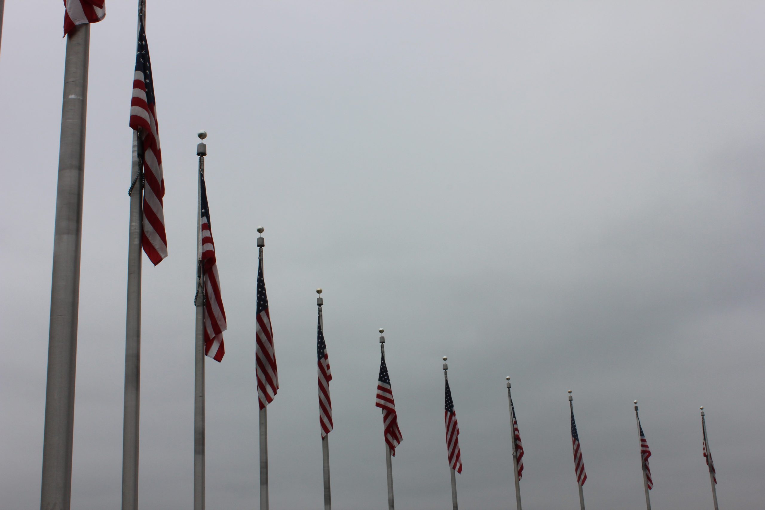 Flags surrounding the National Monument.Photo by The Signal Reporter Karsyn Coxie.